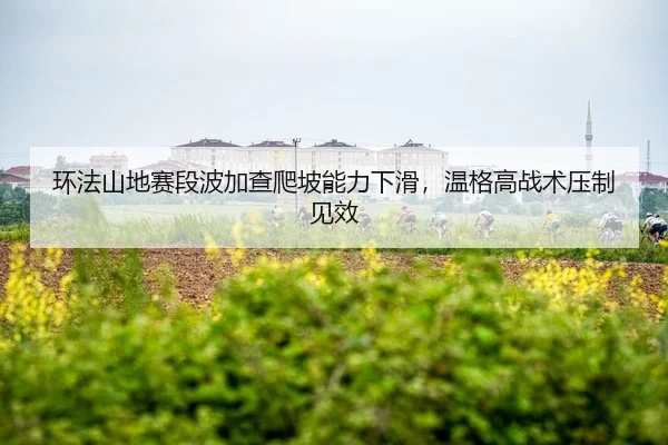 环法山地赛段波加查爬坡能力下滑，温格高战术压制见效